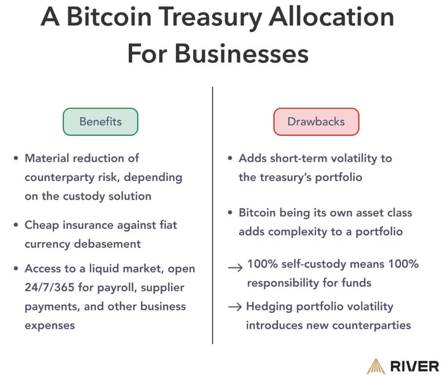 Bitcoin Treasury Advantages and Disadvantages