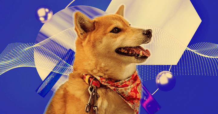 Dogecoin Foundation Clarifies: Dogechain is Not Affiliated, Warns of Knockoff Token Confusion