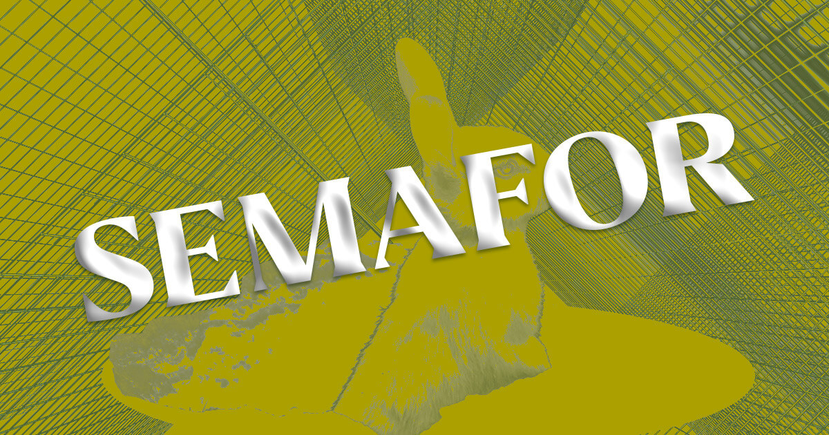 Cryptocurrency Media Under Scrutiny: Elon Musk's Conflict of Interest Claims Spark Industry Debate