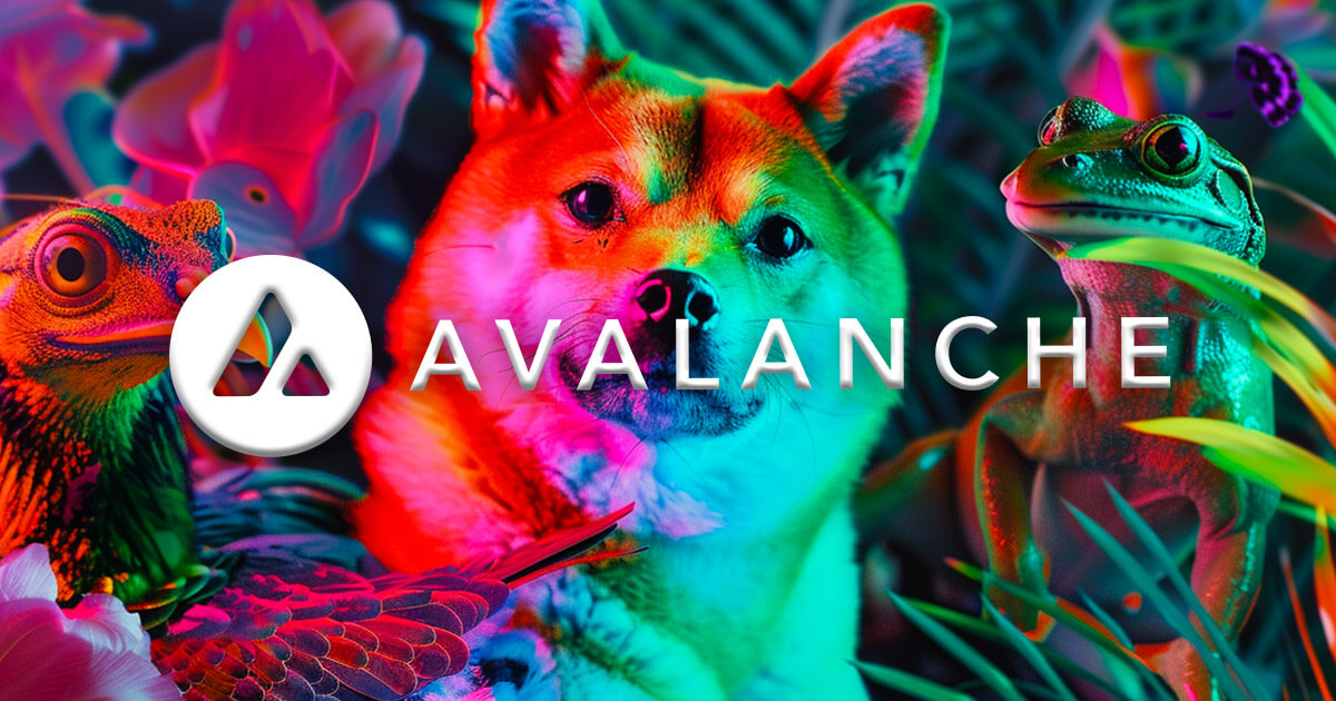 Avalanche Foundation Strategic Investment: How Community Memecoins Strengthen the Blockchain Ecosystem